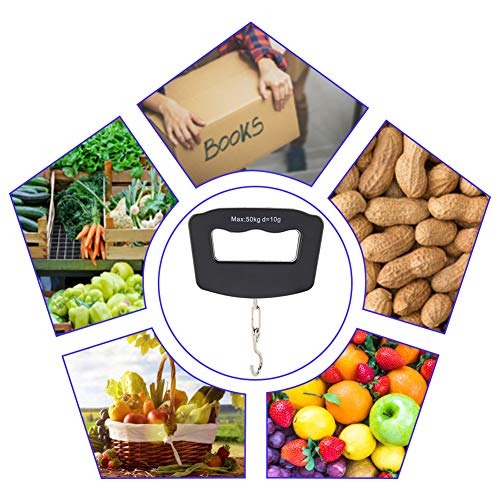 50kg Portable Handheld Digital - Fishing Hook Stainless Steel review and price